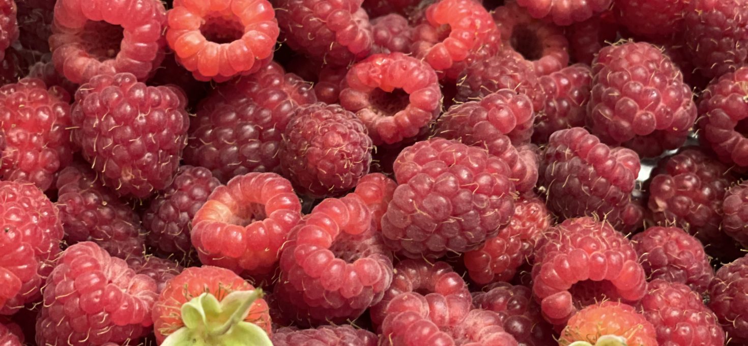 Mermelada de frambuesas
