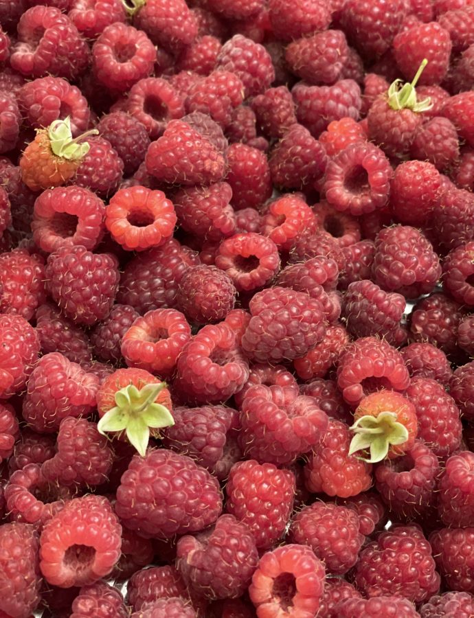 Mermelada de frambuesas