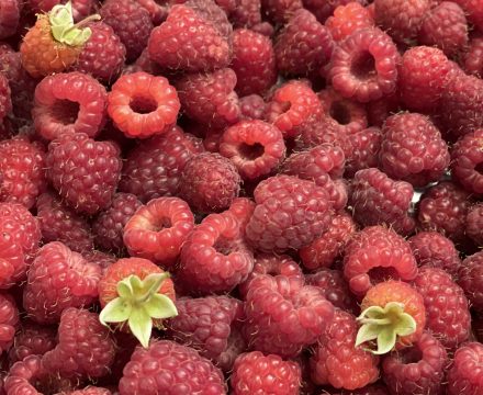 Mermelada de frambuesas